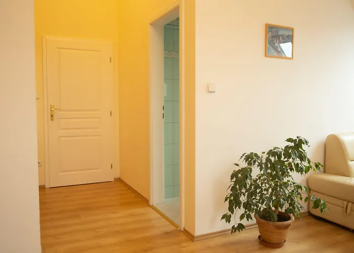 A. Malka ゲストハウス